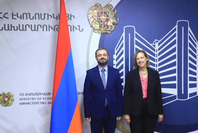 Հանդիպել են ՀՀ էկոնոմիկայի նախարարն ու ԱՄՆ դեսպանը