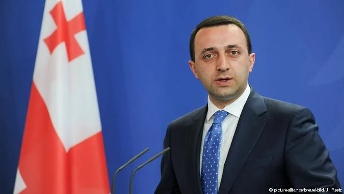 ԵՄ անդամ դառնալու դեպքում Վրաստանը կվերանայի օրենքը