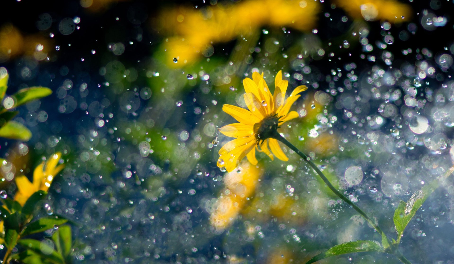 Օդի ջերմաստիճանը կբարձրանա