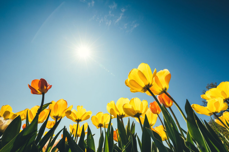 Օդի ջերմաստիճանը առաջիկա օրերին կբարձրանա