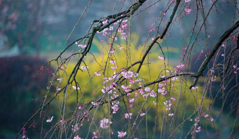 Օդի ջերմաստիճանը կնվազի