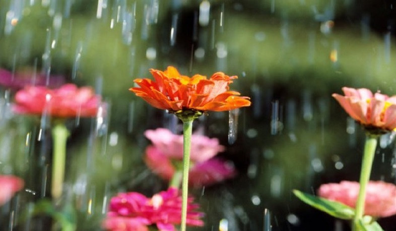 Առաջիկա օրերին՝ կարճատև անձրև և ամպրոպ