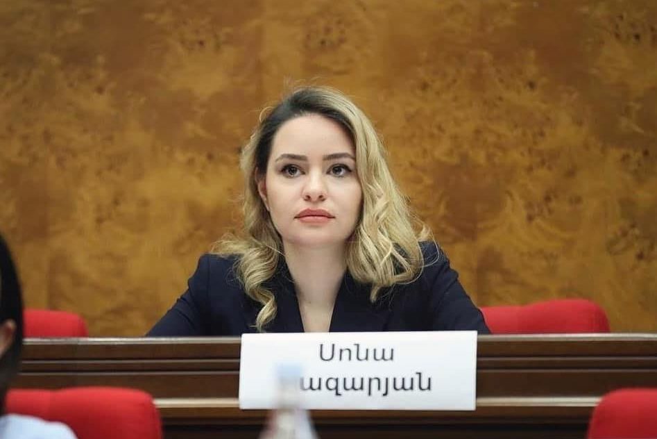 Երվոինտեգրումը դա ամենեւին ֆինանսական աջակցություն չէ. Սոնա Ղազարյան