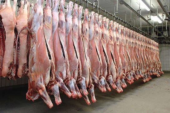 Սպանդանոցային ծառայություն մատուցող տնտեսվարողները աջակցություն կստանան