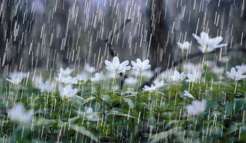 Առաջիկա օրերին շրջանների զգալի մասում սպասվում է կարճատև անձրև