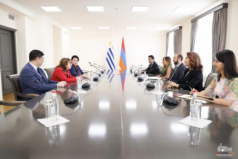 Արարատ Միրզոյանը հանդիպում է ունեցել Անա Օլիվերայի հետ