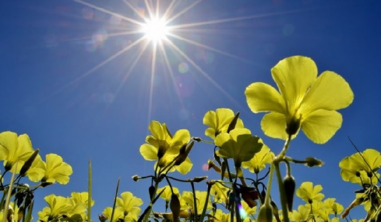 Օդի ջերմաստիճանը առաջիկա օրերին աստիճանաբար կնվազի