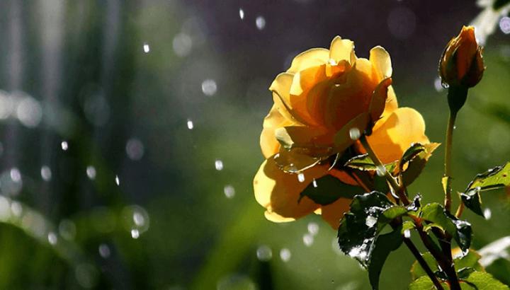 Օդի ջերմաստիճանն էապես չի փոխվի