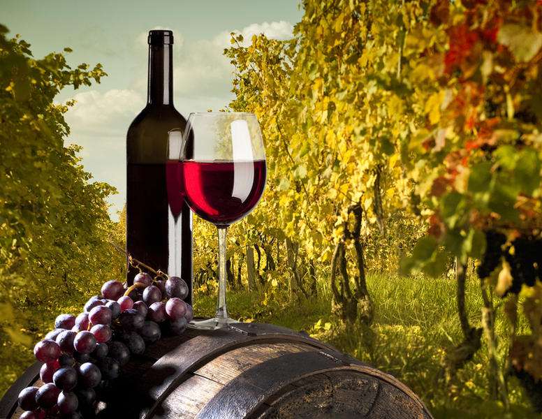 Գինու զբոսաշրջության 8-րդ համաշխարհային համաժողովը կանցկացվի Հայաստանում