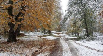 Մի շարք մարզերում սպասվում է թաց ձյուն