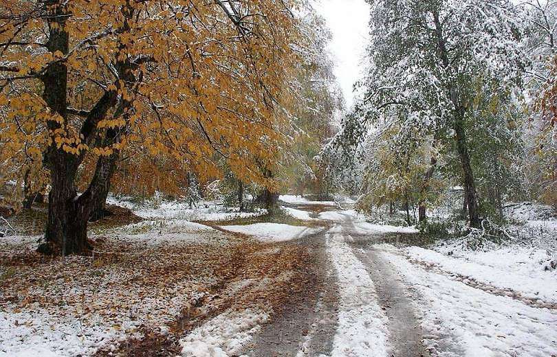 Մի շարք մարզերում սպասվում է թաց ձյուն