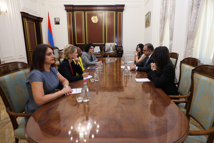 Փոխվարչապետն ընդունել է ՀԲ-ի Կովկասի տարածաշրջանային տնօրենին