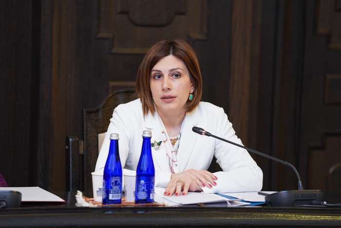 2025թ. բյուջեն որոշակի առումով խնդրահարույց է.  Ավանեսյան