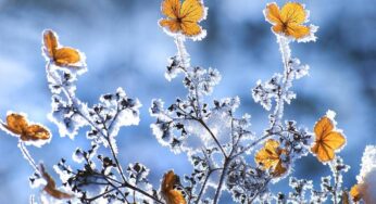 Ինչպիսի եղանակ է սպասվում առաջիկա օրերին