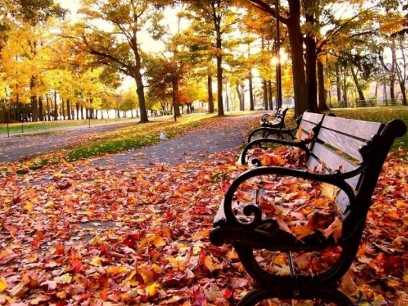 Առաջիկա օրերի եղանակային կանխատեսումը