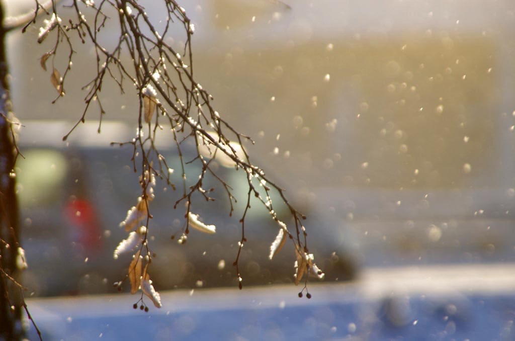 Առաջիկա օրերի եղանակային կանխատեսումը