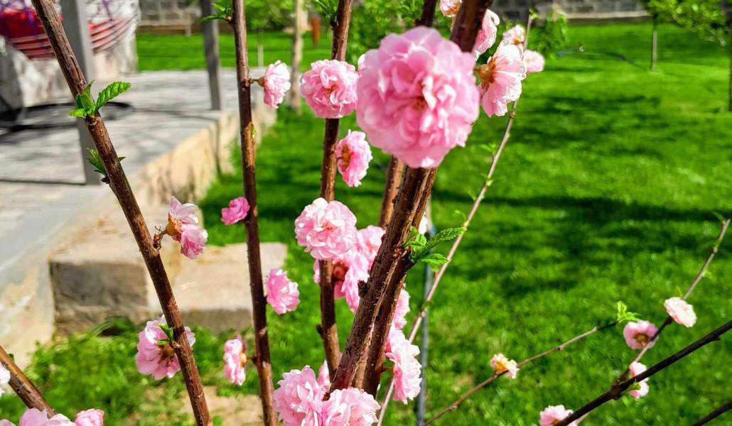 Օդի ջերմաստիճանը կբարձրանա 6-10 աստիճանով