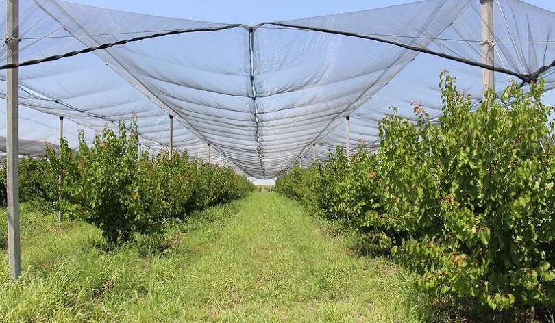 Կարկտապաշտպան ցանցերի ներդրում՝ բոլոր բնակավայրերի համար