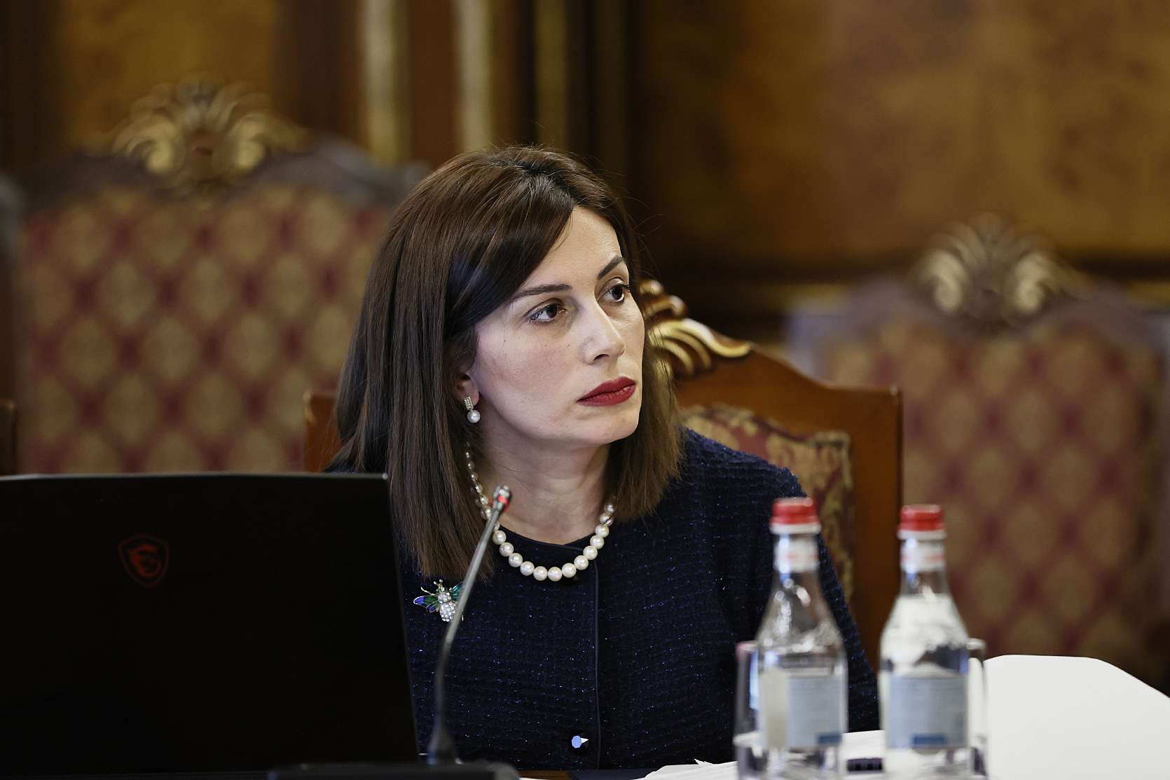 Հայհոյանքին ու բռնությանը վատ եմ վերաբերում. Ավանեսյան