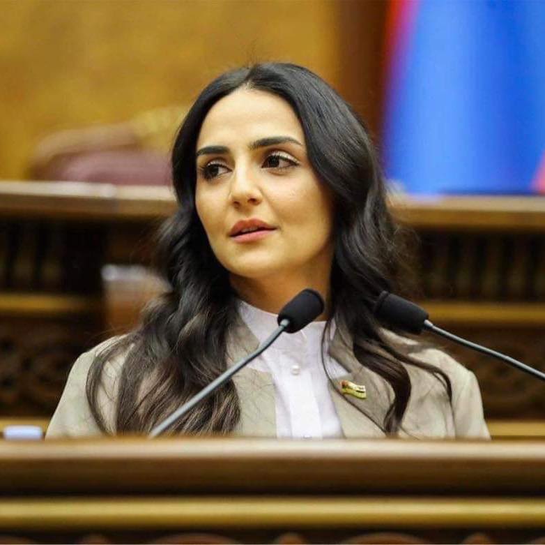 Դիսկուրսը բաց է. Փիլոնով պաշտպանվելն այլևս արդիական չէ․ Ալխաս