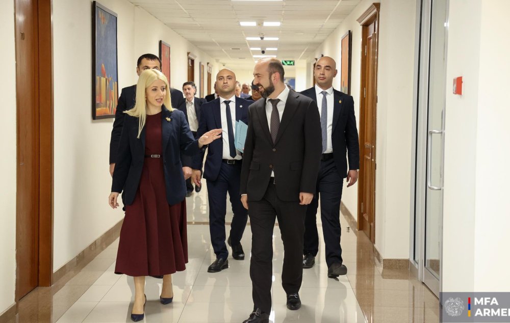 Միրզոյանը հանդիպում է ունեցել Կիպրոսի Ներկայացուցիչների պալատի նախագահի հետ