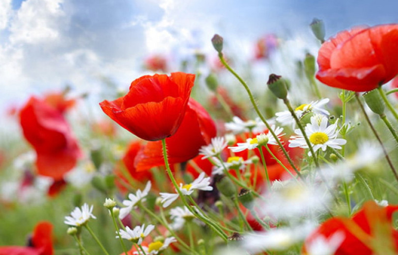 Ջերմաստիճանը կբարձրանա 3-5 աստիճանով