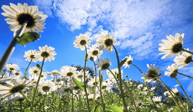 Օդի ջերմաստիճանը հունիսի 29-30-ը կնվազի 2-5 աստիճանով