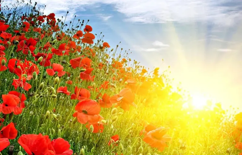 Ինչպիսի եղանակ է սպասվում առաջիկա օրերին