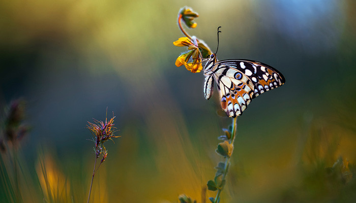 Օդի ջերմաստիճանն օգոստոսի 23-24-ին աստիճանաբար կբարձանա 3-4 աստիճանով