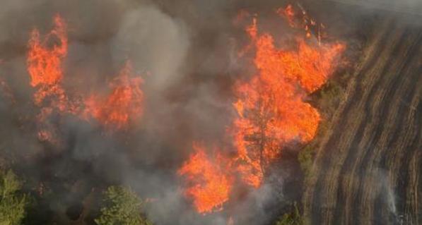 Թուրքիայի հարավային նահանգում ուժգին հրդեհներ են
