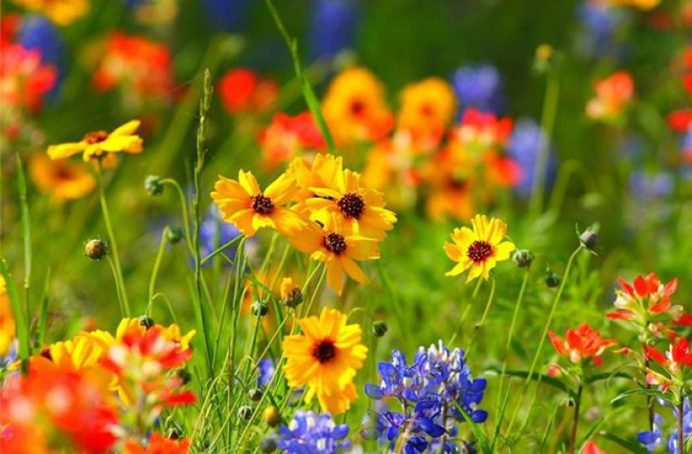 Օդի ջերմաստիճանը կբարձրանա