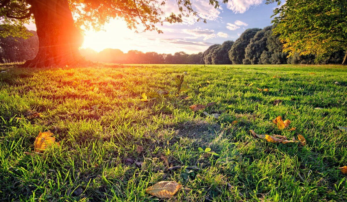 Օդի ջերմաստիճանը կբարձրանա