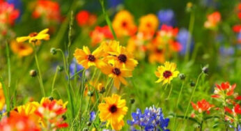 Օդի ջերմաստիճանը սեպտեմբերի 5-ի ցերեկը կնվազի 2-3 աստիճանով, 6-ի ցերեկը նույնքան կբարձրանա