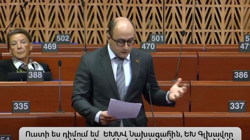 Մի թողեք մեր հայրենակիցներին բռնապետի հետ մեն մենակ. Մամիջանյանը՝ ԵԽԽՎ-ում