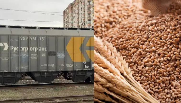 ՌԴ-ից և Ղազախստանից ներկրված ցորենը ենթարկվել է փորձաքննությունների. ՍԱՏՄ