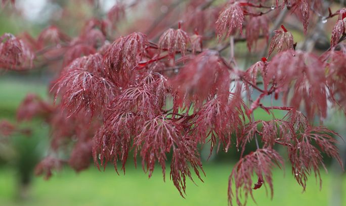 Վաղվանից ջերմաստիճանը կբարձրանա