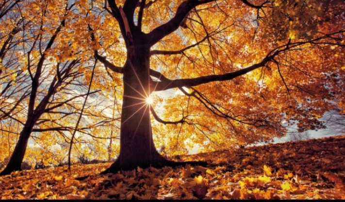 Օդի ջերմաստիճանը կբարձրանա