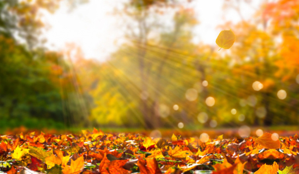 Առաջիկա օրերը՝ առանց տեղումների