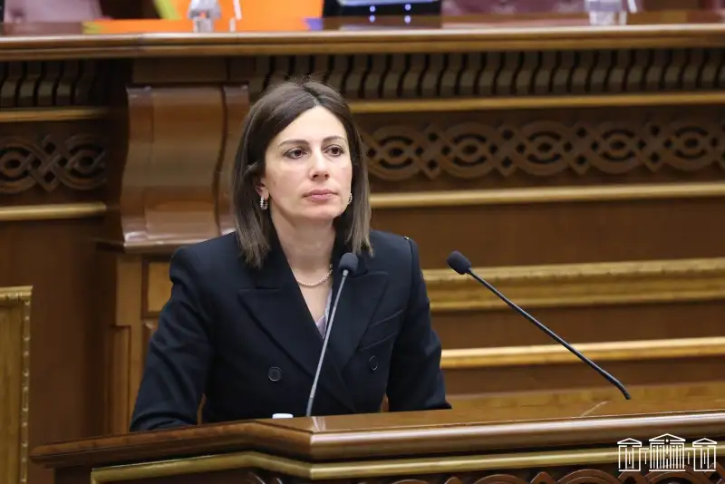 2029 թ. բնակչության ճնշող մեծամասնությունը պետք է ունենա առողջության համընդհանուր ապահովագրություն. Ավանեսյան