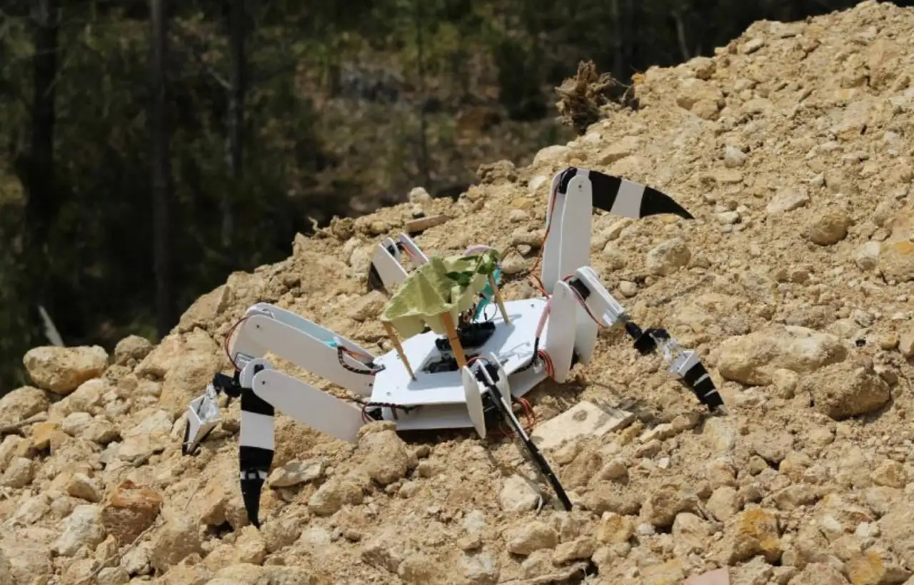 Ռոբոտ-սարդը ծառեր է տնկում այրված հողերի վրա