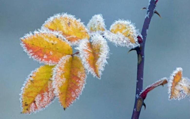 Օդի ջերմաստիճանը կնվազի 2-5 աստիճանով