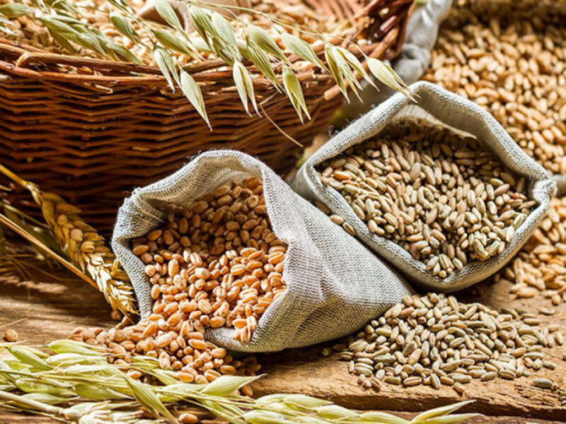 ՀՀ–ից ցորենի, գարիի, եգիպտացորենի, հնդկացորենի արտահանումը 6 ամսով արգելվեց