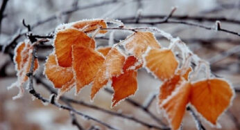 Սպասվում են տեղումներ՝ ձյան տեսքով