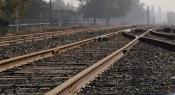 Հայաստանի և Ադրբեջանի ներկայացուցիչները գնահատել են Սադարակ-Երասխ հատվածի վիճակը