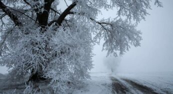 Ինվերսիա, մառախուղ, կայուն ցածր ջերմաստիճան և «կեղծ ձյուն». ինչ երևույթ է Արարատյան դաշտում