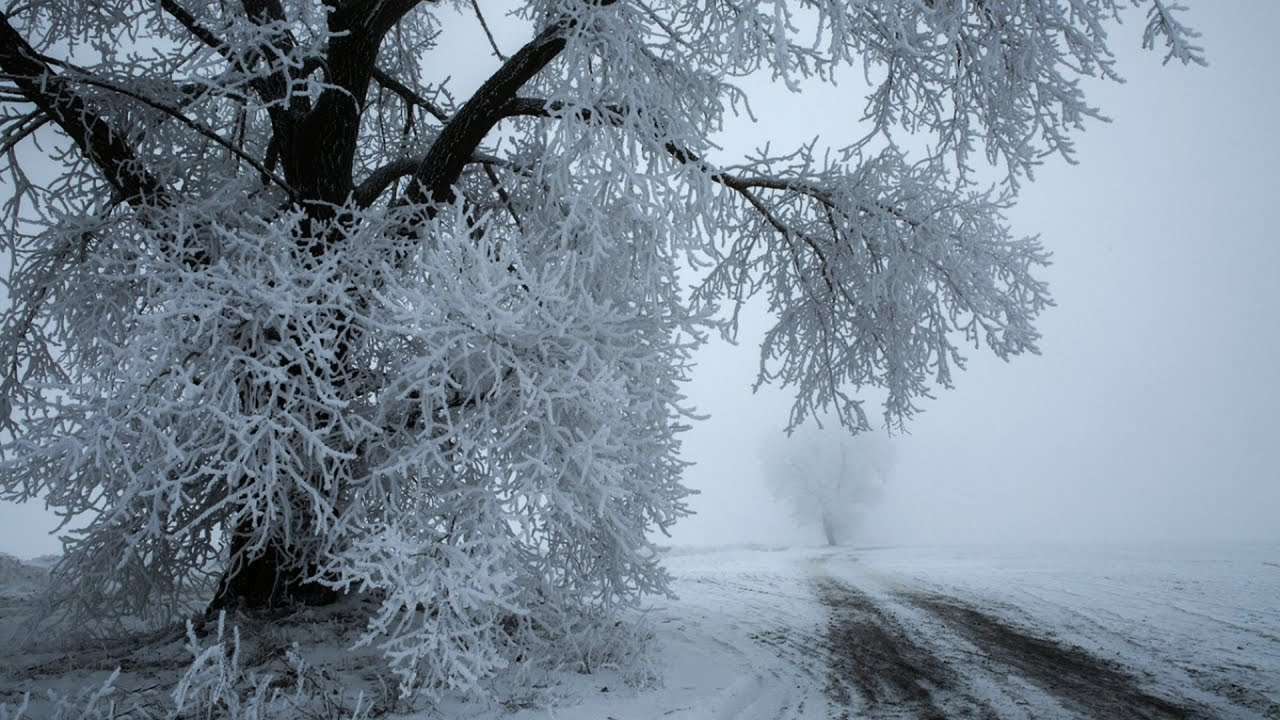 Ինվերսիա, մառախուղ, կայուն ցածր ջերմաստիճան և «կեղծ ձյուն». ինչ երևույթ է Արարատյան դաշտում