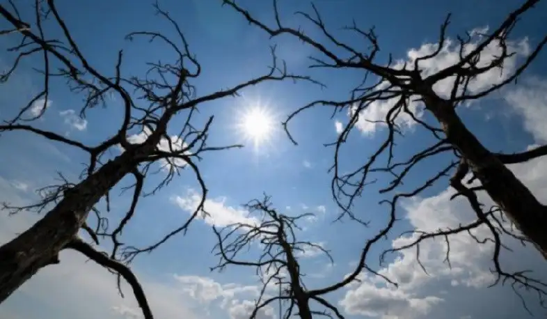 Օդի ջերմաստիճանը կբարձրանա 5-8 աստիճանով