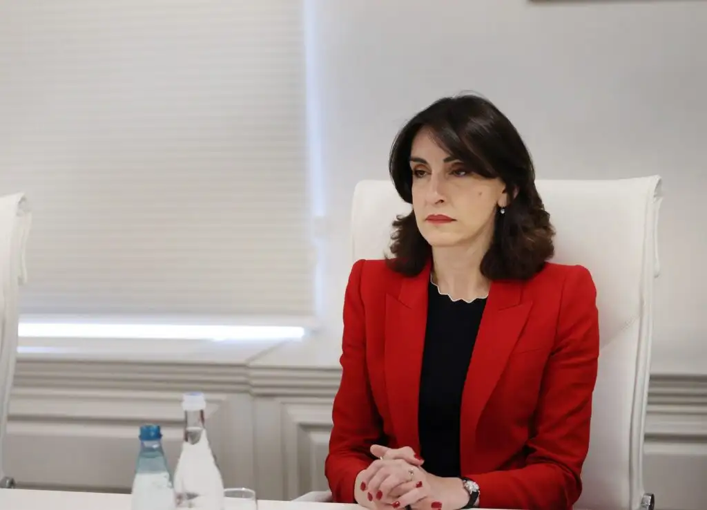 Անհնար է, որ որևէ ճանապարհ կարողանա փոխարինել Վրաստանին. Բոչորիշվիլի