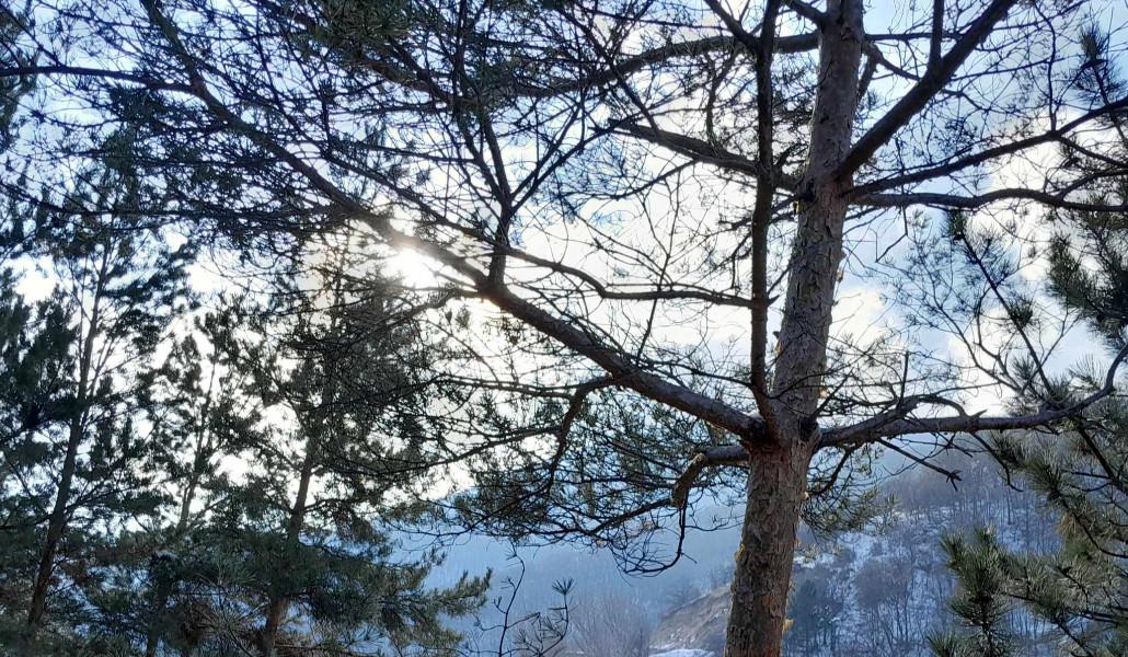 Ինչպիսի եղանակ է սպասվում փետրվարի 6-11-ը