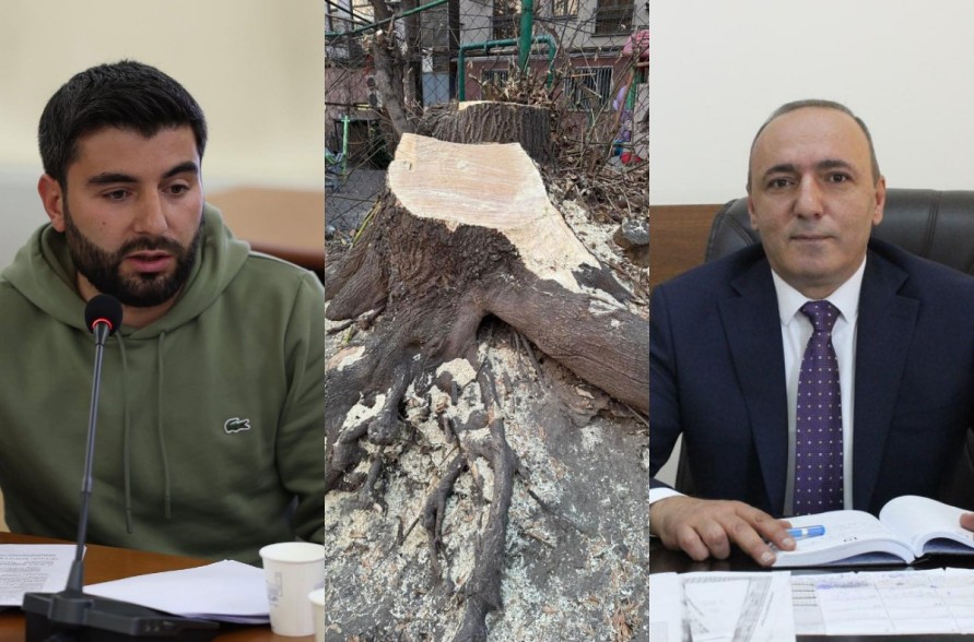 Հայրումյանն ահազանգում է առողջ ծառի հատման մասին, Բեգոյանն արձագանքում է. «Ո՞վ է Հայրումյանը, որ որոշի՝ ծառը կենսունակ է, թե՝ ոչ»